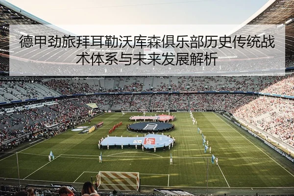 de-jia-jing-lv-bai-er-lei-wo-ku-sen-ju-le-bu-li-shi-chuan-tong-zhan-shu-ti-xi-yu-wei-lai-fa-zhan-jie-xi-2-555.jpg