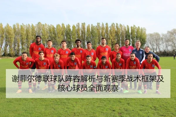 谢菲尔德联球队阵容解析与新赛季战术框架及核心球员全面观察