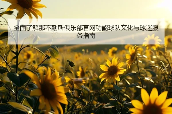 全面了解那不勒斯俱乐部官网功能球队文化与球迷服务指南