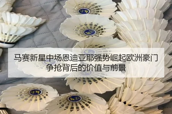 ma-sai-xin-xing-zhong-chang-en-di-ya-ye-qiang-shi-jue-qi-ou-zhou-hao-men-zheng-qiang-bei-hou-de-jia-zhi-yu-qian-jing-2-761.jpg